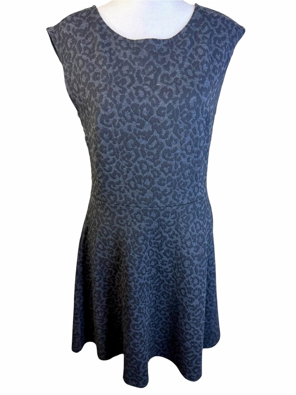 NWT LOFT Leopard Print Fit & Flare Dress Size 2